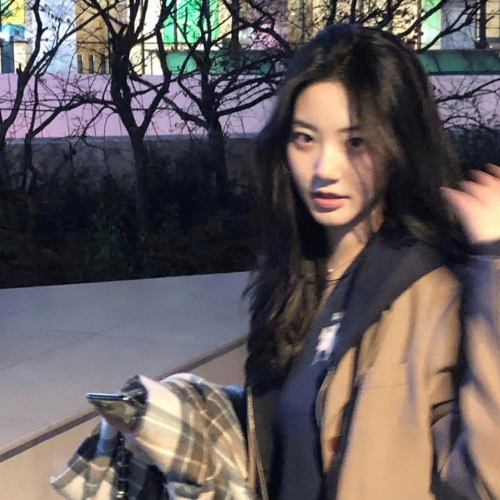 麋鹿王