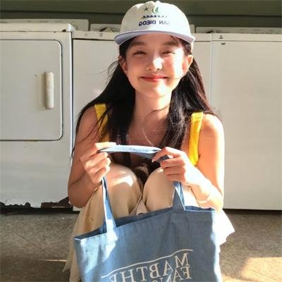 完美的独裁国家